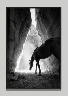 Abyssus by Raphael Macek, Equine Fine Art Photography