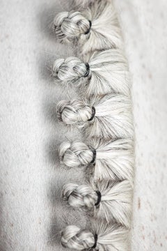 Adornay by Raphael Macek, Equine Fine Art Photography