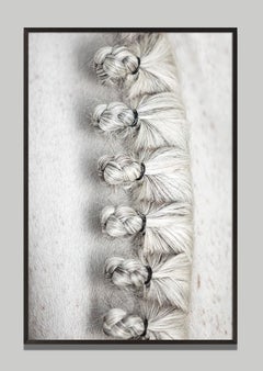 Adornay by Raphael Macek, Equine Fine Art Photography