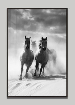 Adventus by Raphael Macek, Equine Fine Art Photography