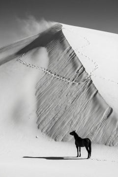 Ascensus by Raphael Macek, Equine Fine Art Photography