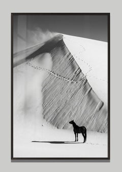 Ascensus by Raphael Macek, Equine Fine Art Photography