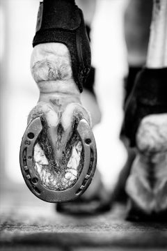 "Calceus" di Raphael Macek, fotografia artistica equina