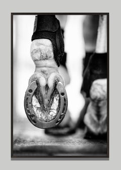 "Calceus" di Raphael Macek, fotografia artistica equina