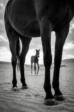 «Custodia», de Raphael Macek, fotografía artística ecuestre