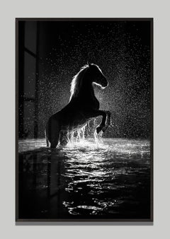 «Diluvio», de Raphael Macek, fotografía artística ecuestre