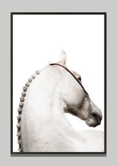 «Domum», de Raphael Macek: fotografía artística de caballos