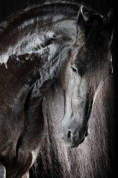 «Epic», de Raphael Macek, fotografía artística ecuestre
