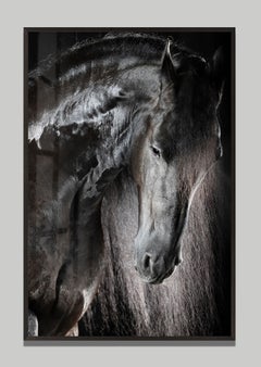 «Epic», de Raphael Macek, fotografía artística ecuestre