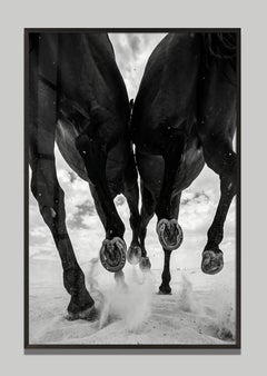 Ferrum by Raphael Macek, Equine Fine Art Photography