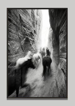 Liberatio by Raphael Macek, Equine Fine Art Photography