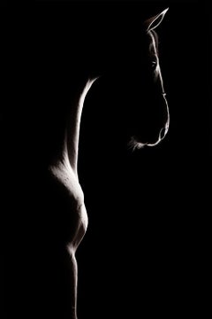 Lumina by Raphael Macek, Equine Fine Art Photography