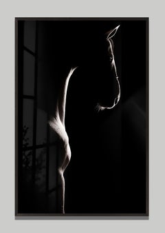 Lumina by Raphael Macek, Equine Fine Art Photography