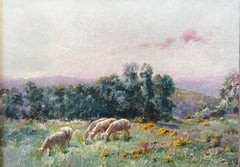 Sheep on pasture, (Les moutons au pâturage)