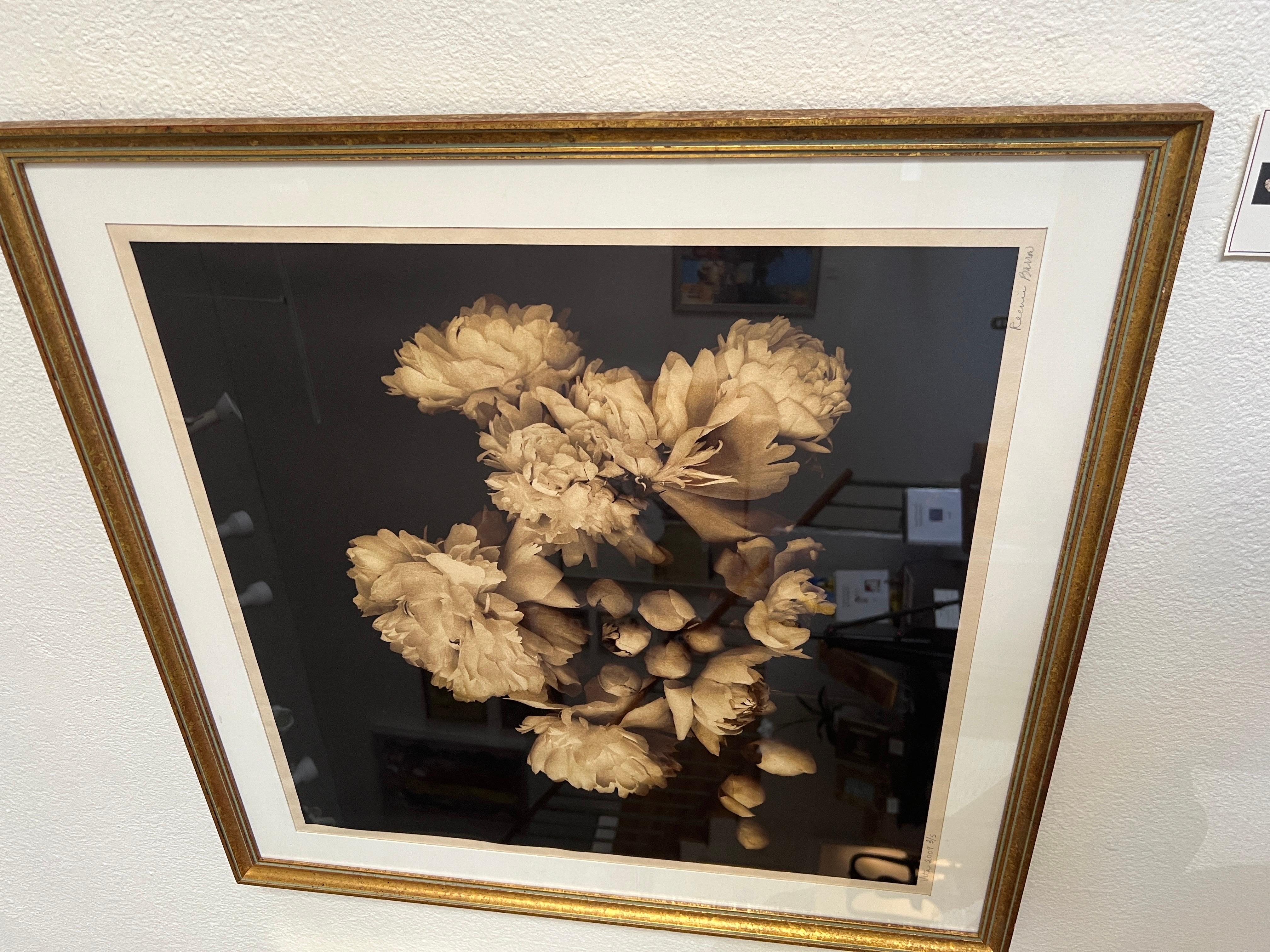 Photography, Life, contemporary photography on Japanese rice paper. For Sale 9