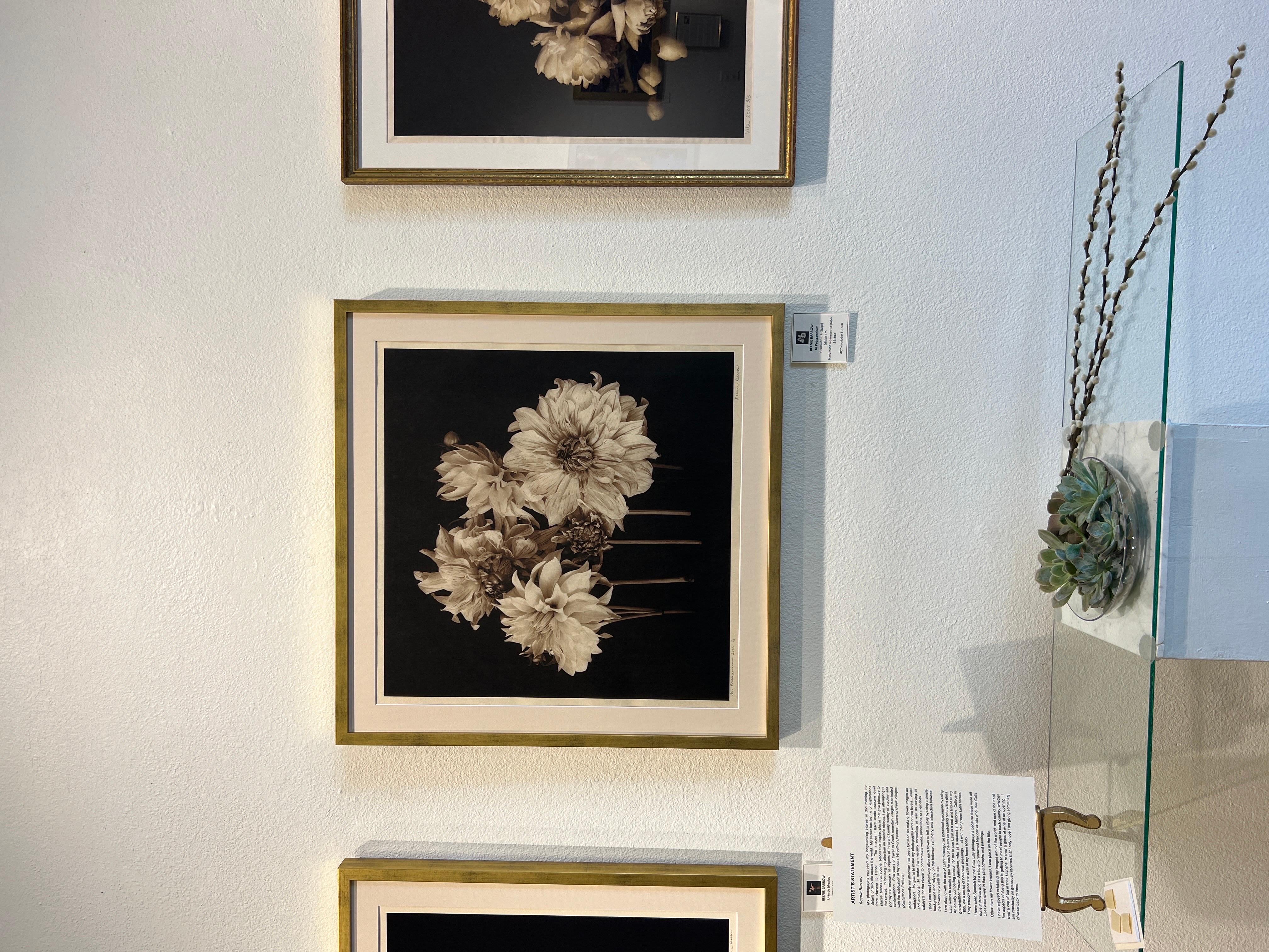 Photography, Life, contemporary photography on Japanese rice paper. For Sale 10