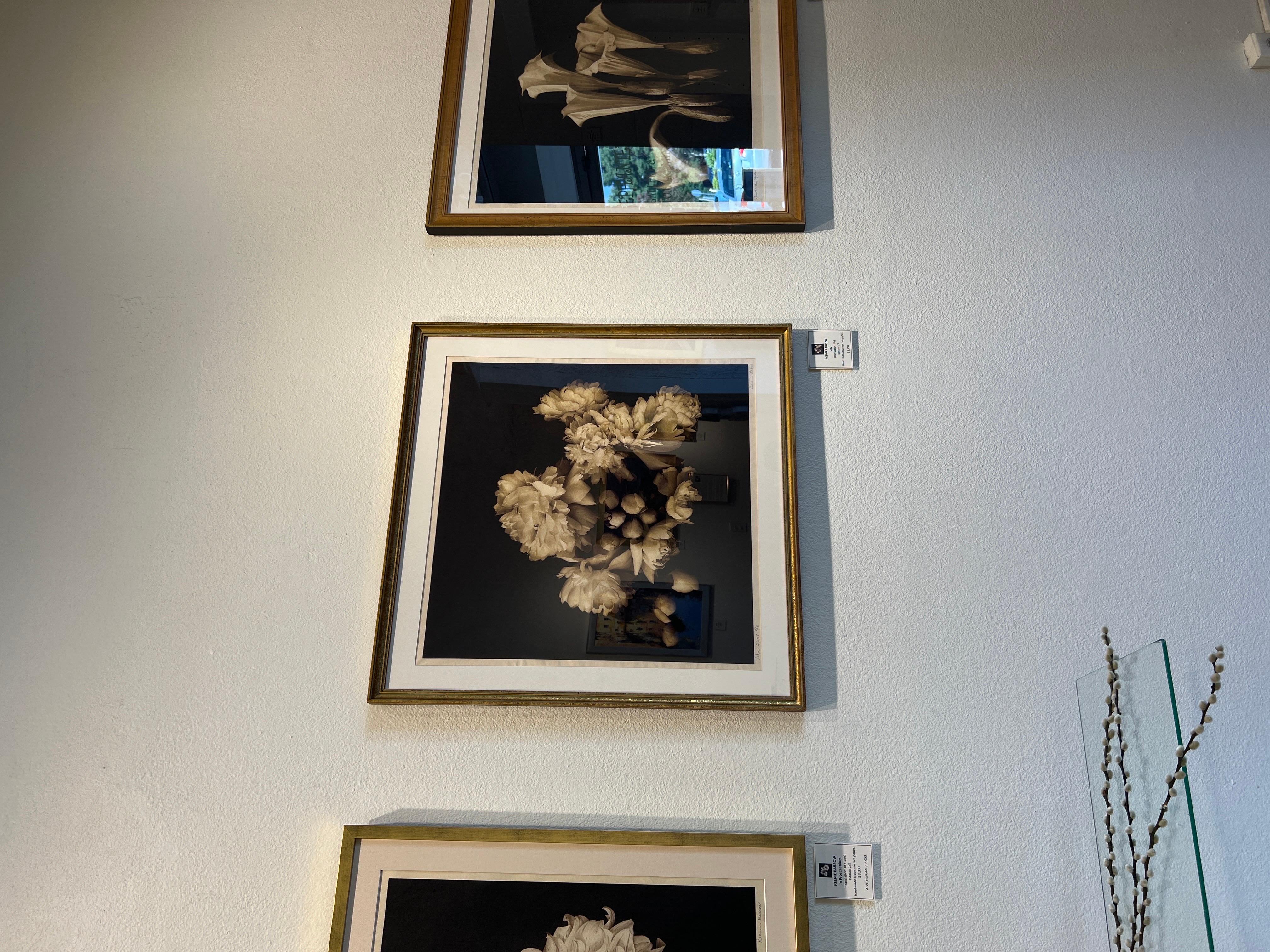 Photography, Life, contemporary photography on Japanese rice paper. For Sale 11