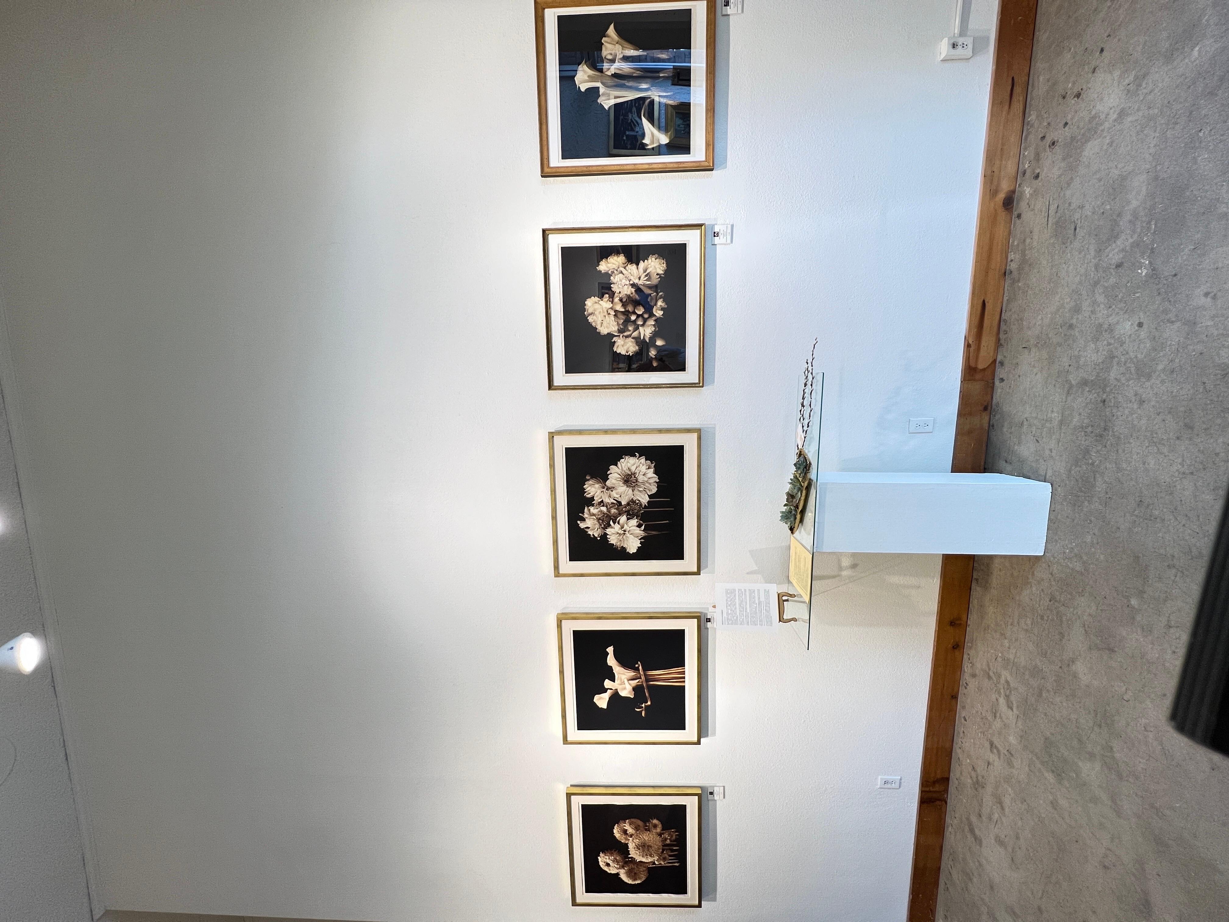 Photography, Life, contemporary photography on Japanese rice paper. For Sale 12