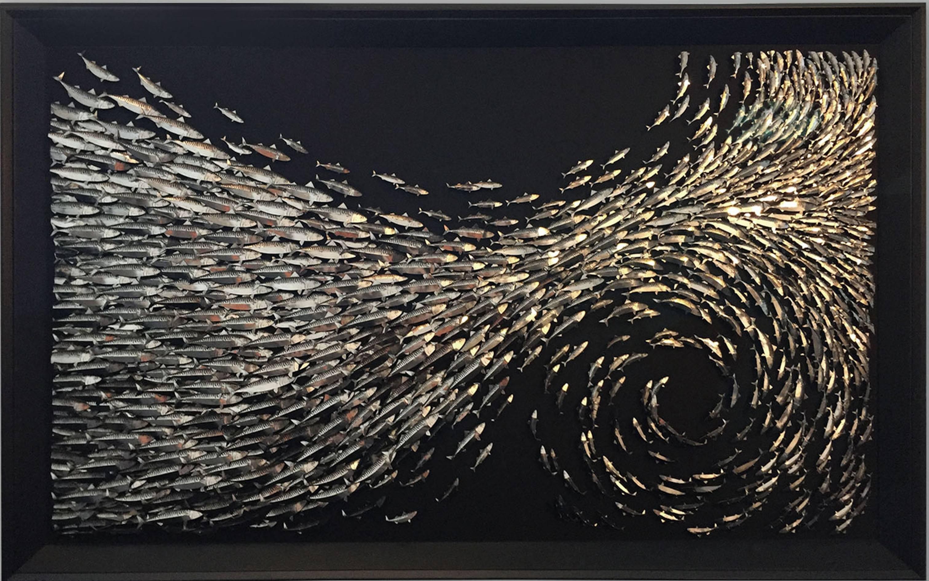 SURGE - A three dimensional art work of pinned metallic mackerel - Mixed Media Art by Daniel Byrne