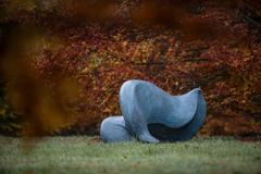 Monumental Magnolia Grandiflora Leaf 4