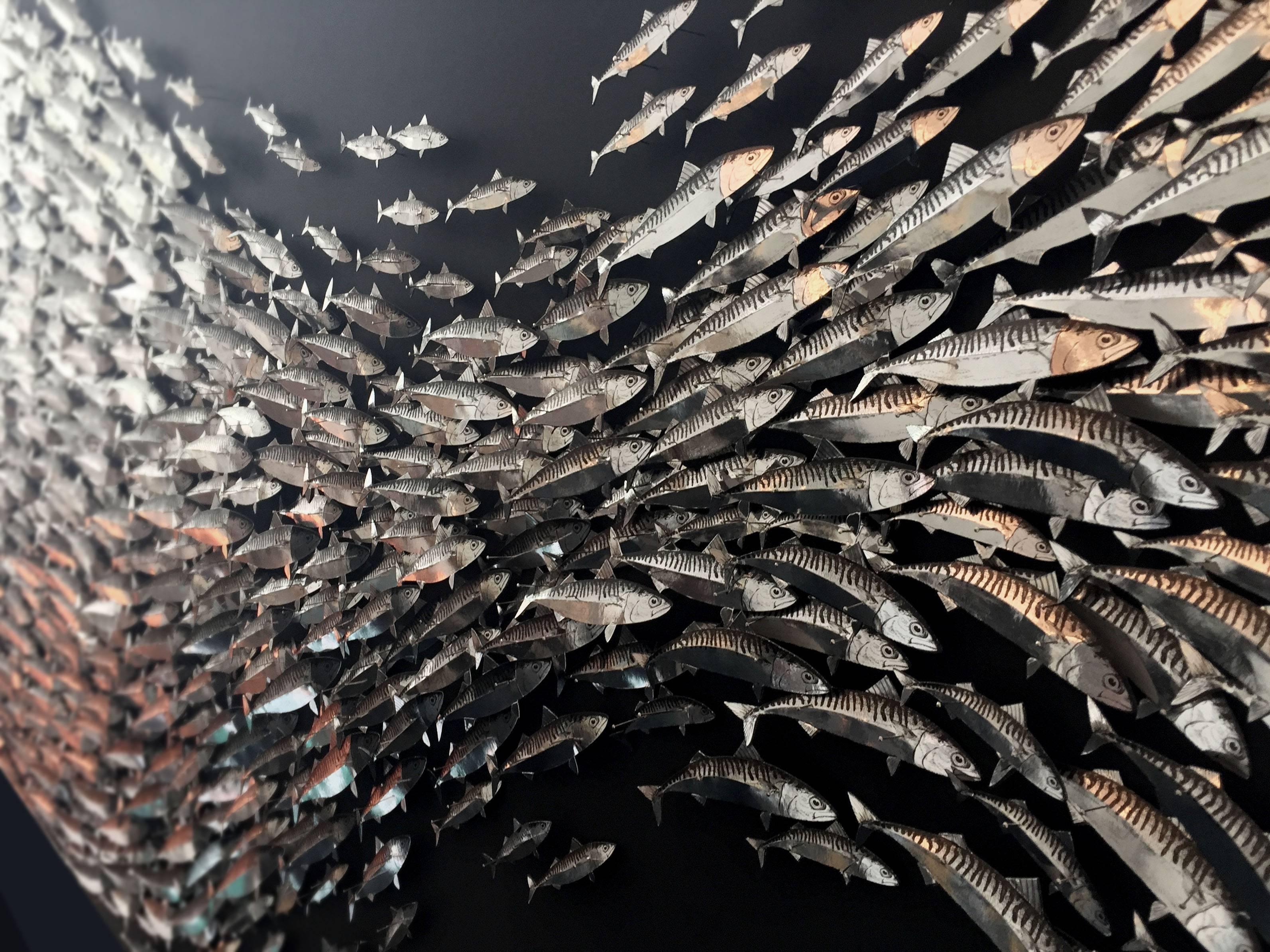 SURGE - A three dimensional art work of pinned metallic mackerel For Sale 1
