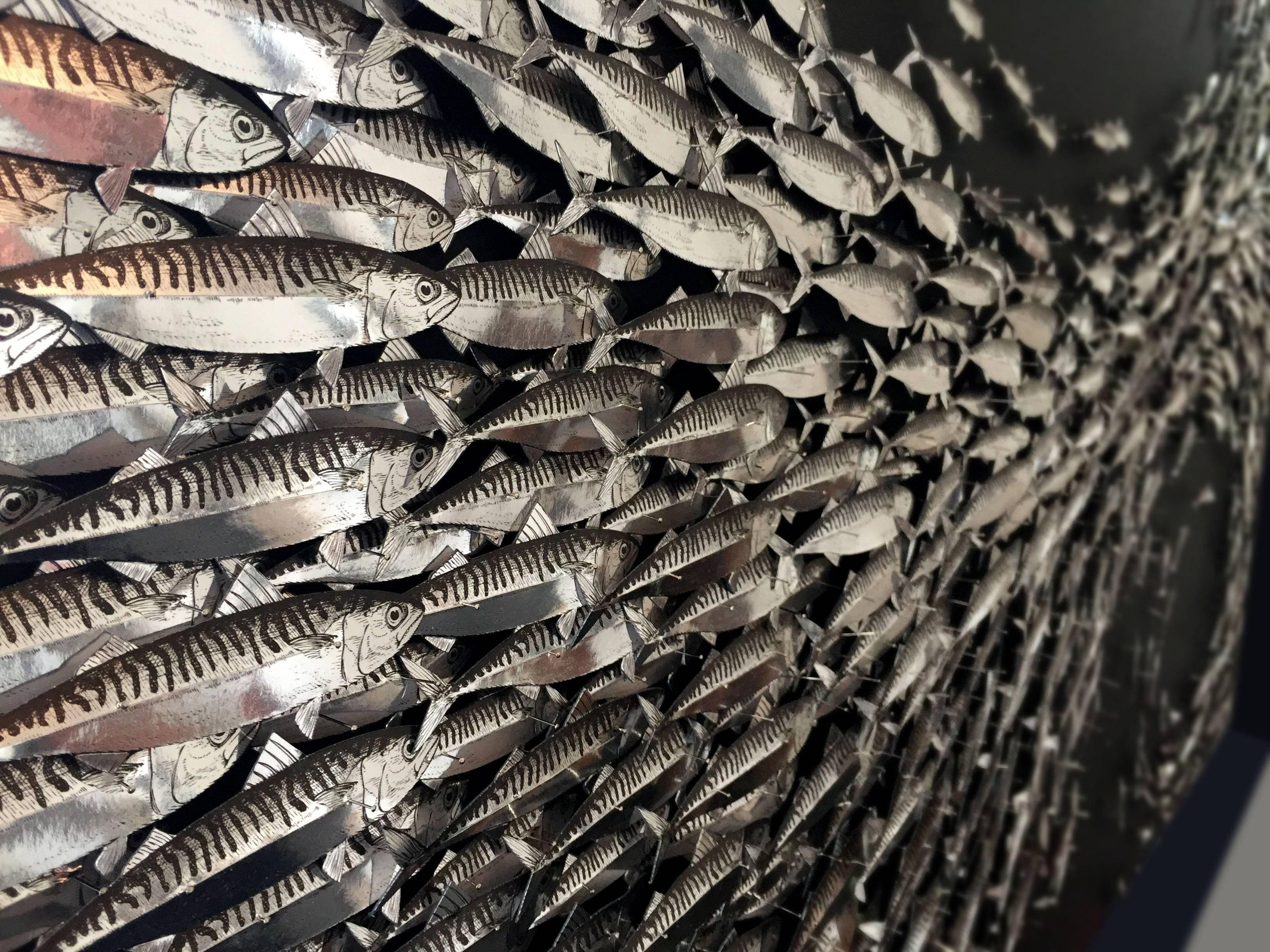 SURGE - A three dimensional art work of pinned metallic mackerel For Sale 3
