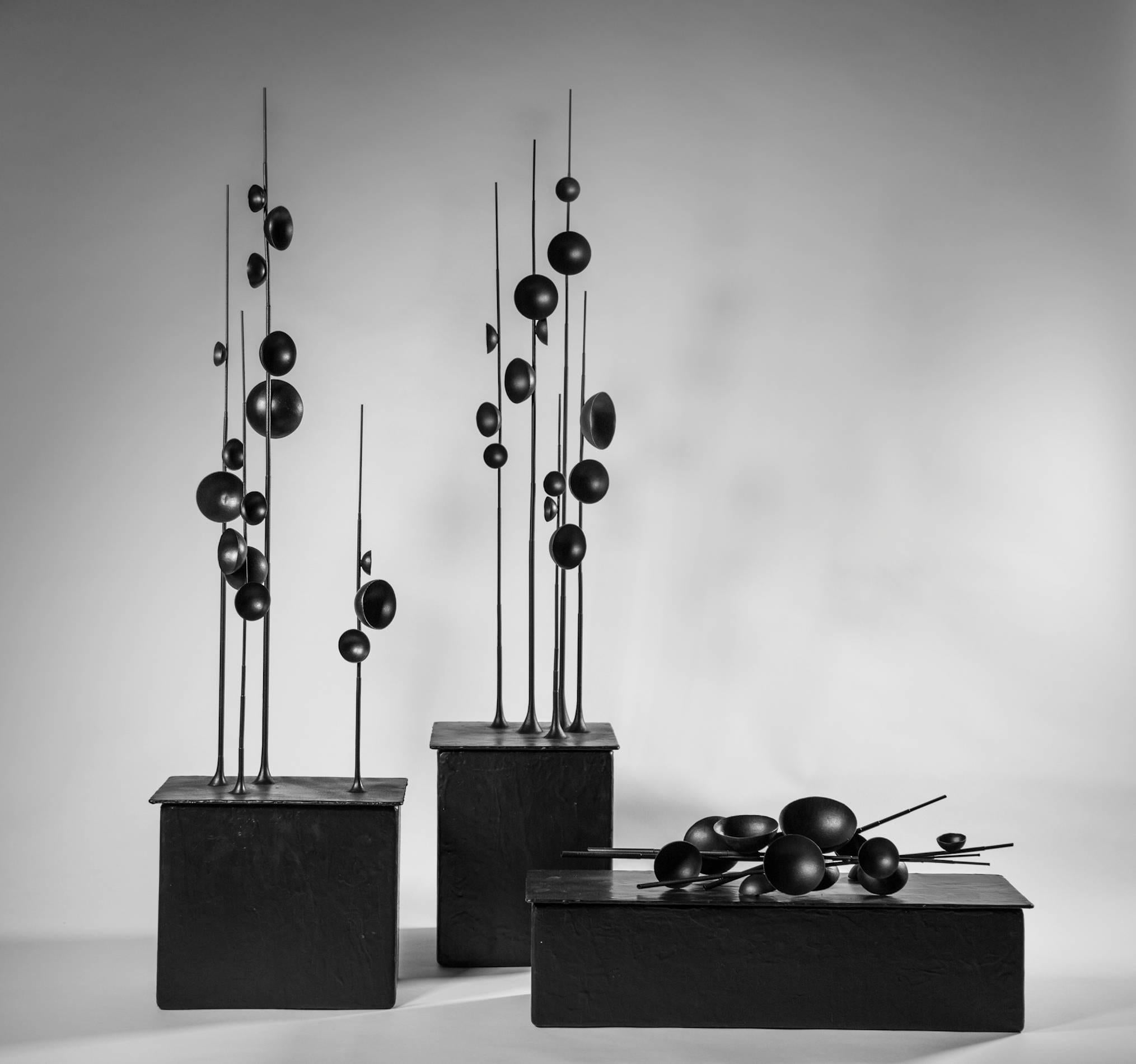 Blossfeldt Station II [Lidded box - aerospace rubber coated gilding metal] - Gray Abstract Sculpture by Tom Palmer