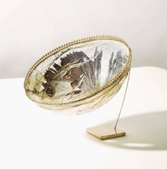 Transfiguration - exquisite fish leather bowl with brass filigree mount and rim