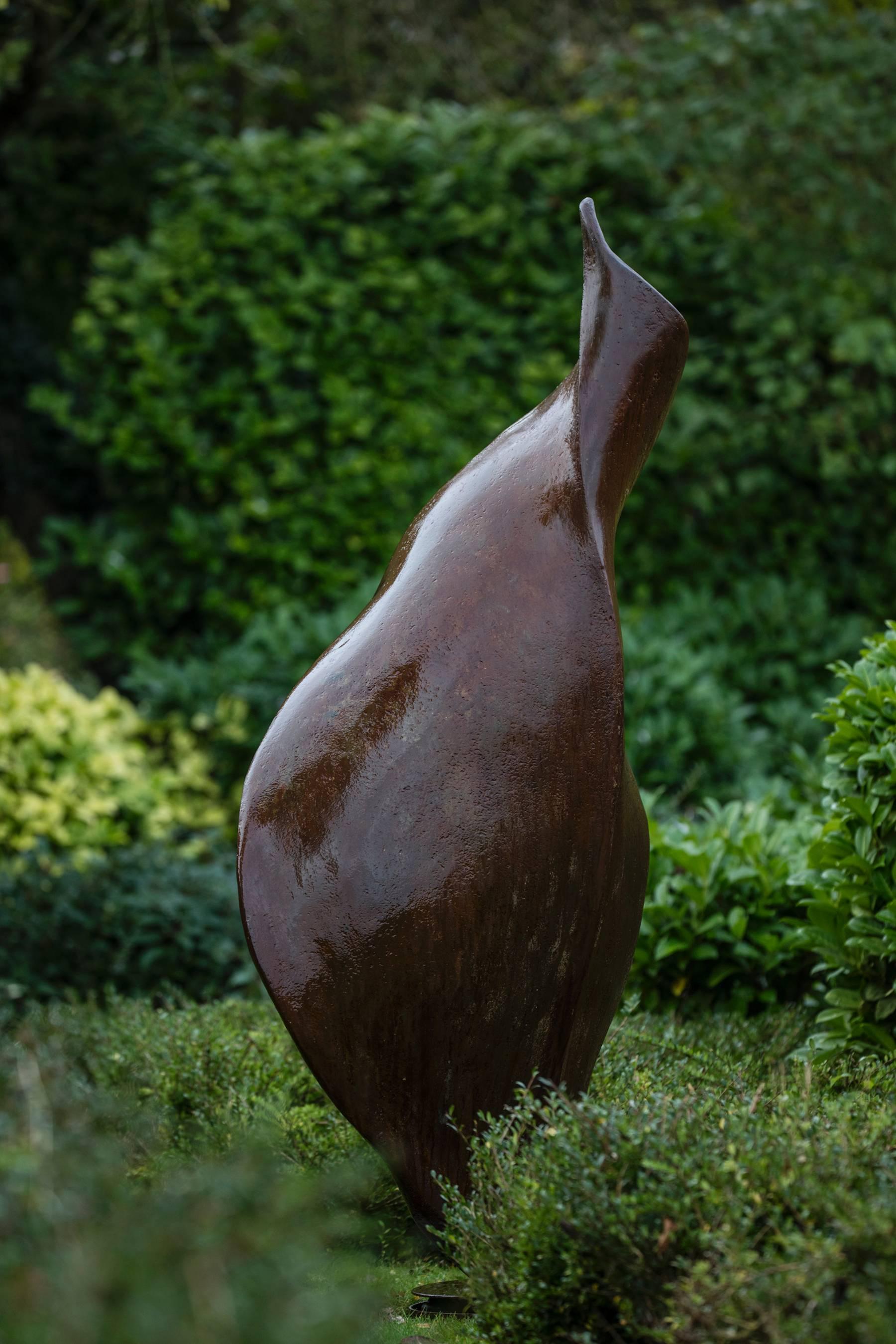 Anne Curry is a member of the Royal British Society of Sculptors. Her outdoor sculpture has been exhibited at major exhibition gardens around the UK including the Royal Botanic Gardens at Kew, and shows of international reputation including the most