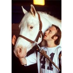 Stephen Stills 7