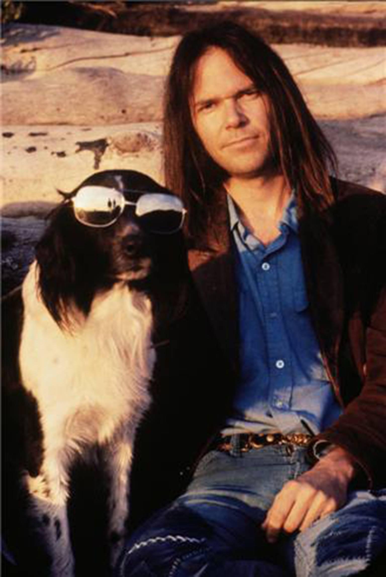 Henry Diltz Color Photograph – Neil Young mit der Kunst des Hundes