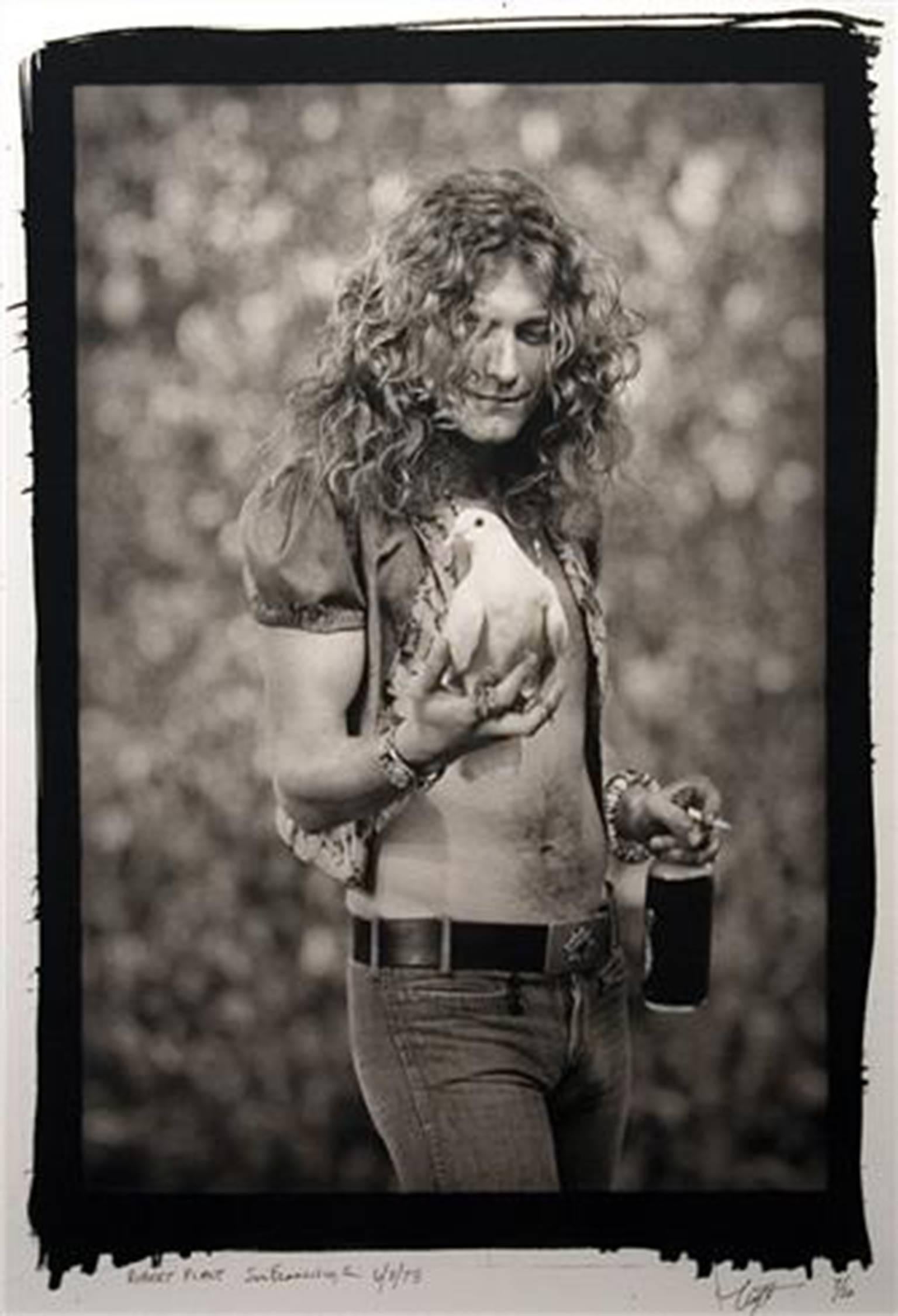 Neal Preston Portrait Photograph - Robert Plant, San Francisco, CA 1973