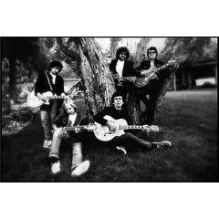 Traveling Wilburys 5