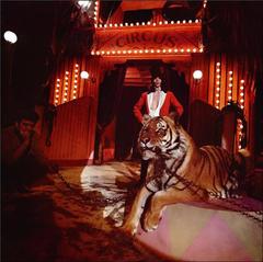 Mick Jagger, "Ringmaster", 1968 6