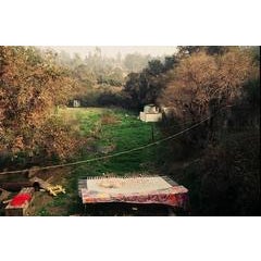 The Farm, Los Angeles, CA 1969 12