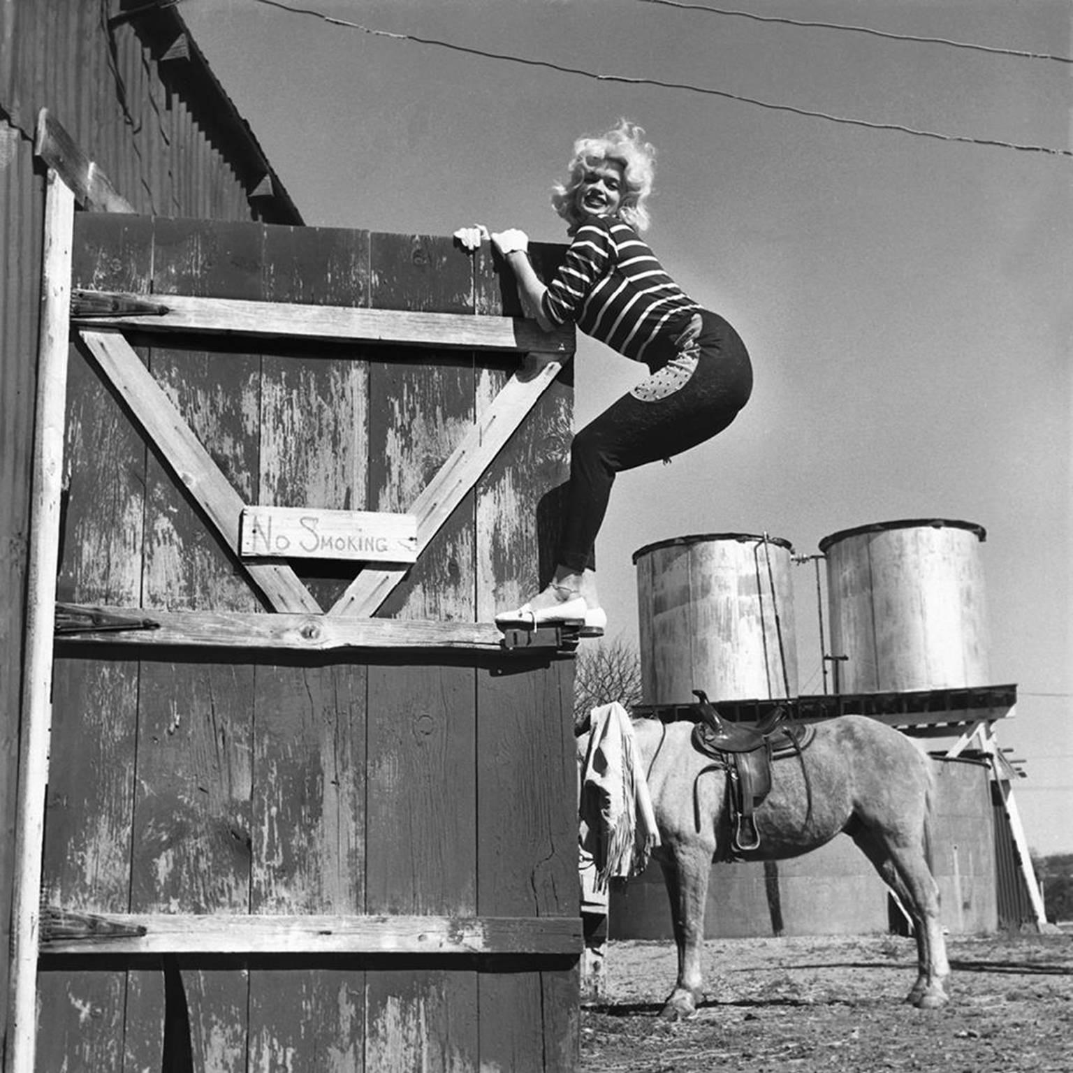 John R. Hamilton Black and White Photograph - Jayne Mansfield, climbing a barn, Los Angeles, CA 1960