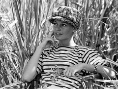Vintage Brigitte Bardot, during the filming of "Viva Maria"