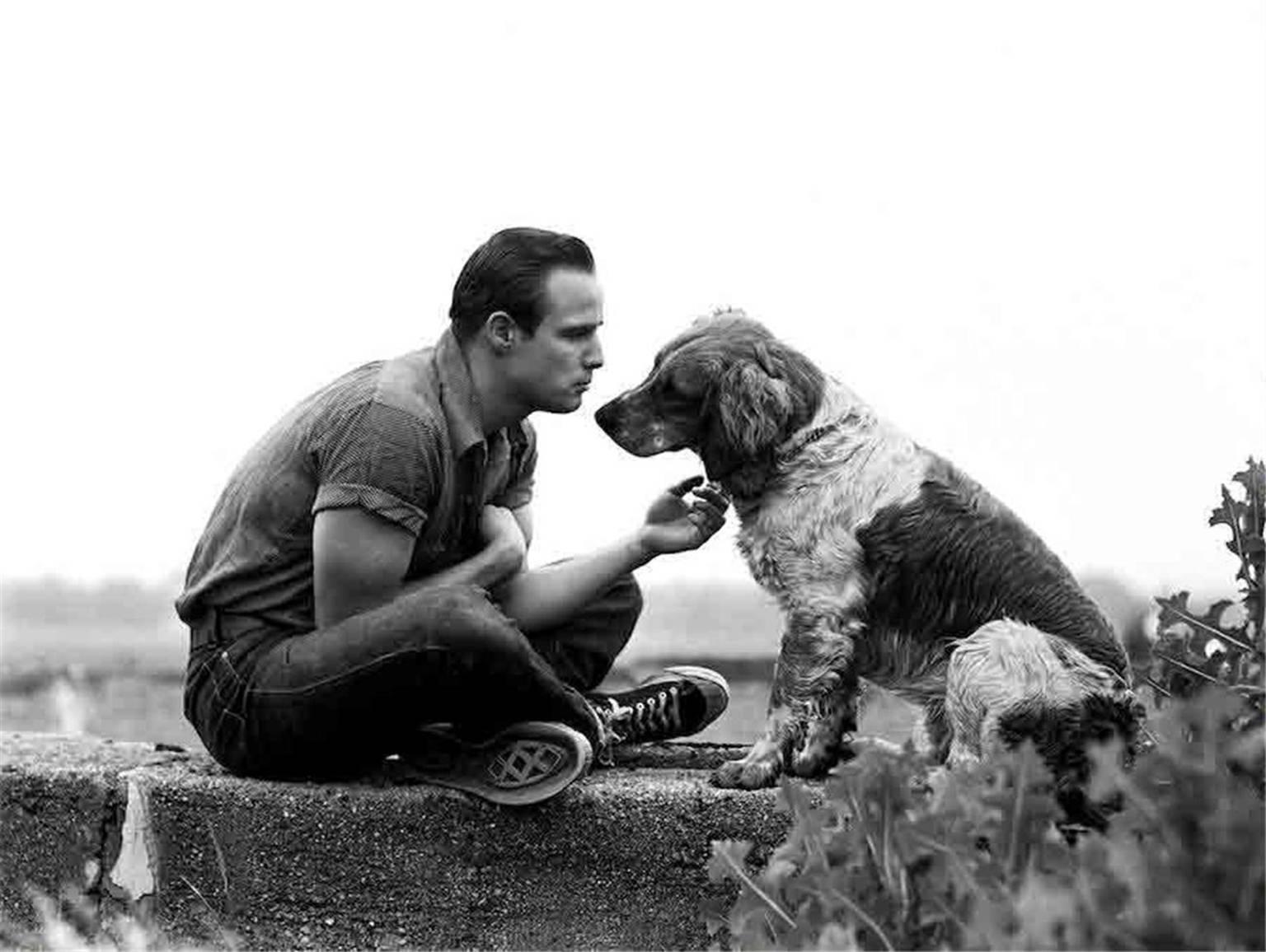 Art Shay Black and White Photograph - Marlon Brando, 1950