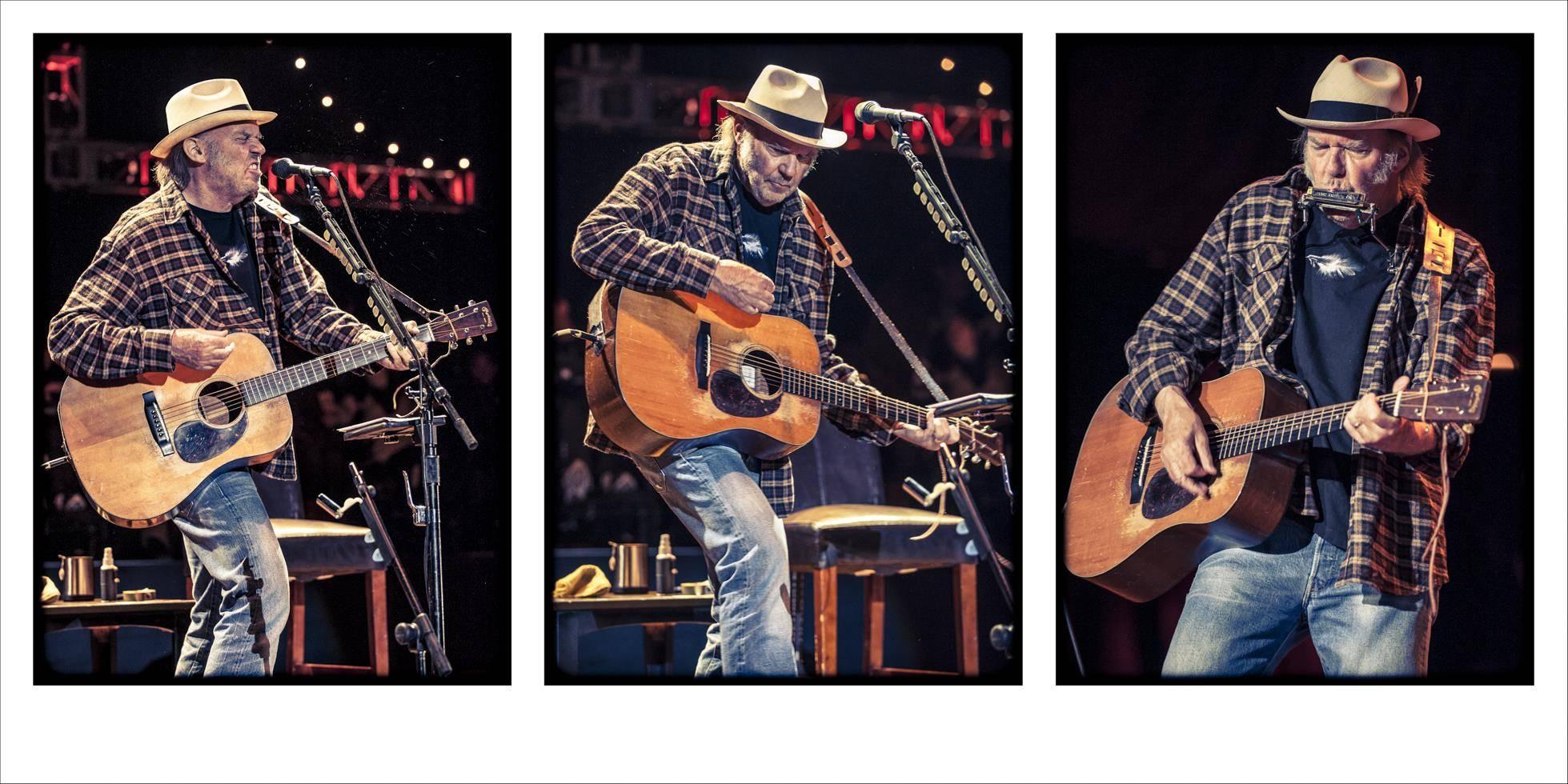 Jay Blakesberg Color Photograph - Neil Young, Triptych, Shoreline Amphitheater, Mountain View, CA, 2011