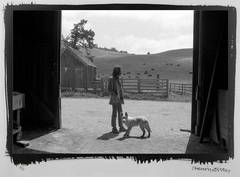 Neil Young, Broken Arrow Ranch 3