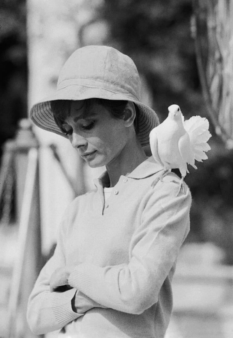 Terry O'Neill Portrait Photograph - Audrey Hepburn