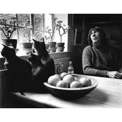 Roger Waters at Home, Islington, London 9