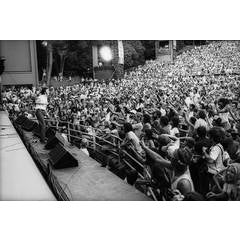 Bruce Springsteen Live at Hollywood Bowl 9