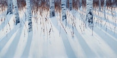 BIRCH 5 Triptych  - Contemporary Atmospheric and Modern Nature Painting