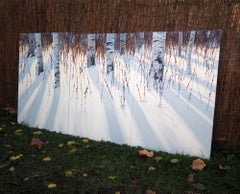 BIRCH 5 Triptych  - Contemporary Atmospheric and Modern Nature Painting