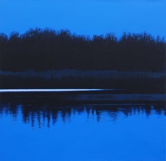 NOCTURN - Contemporary Atmospheric and Modern Nature Painting