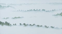 Mist 22 January 11:02 - Modern Expressive Mountains Forest Landscape