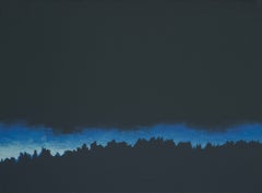 Light 16 December 15:42 - Modern Expressive Evening Forest Landscape