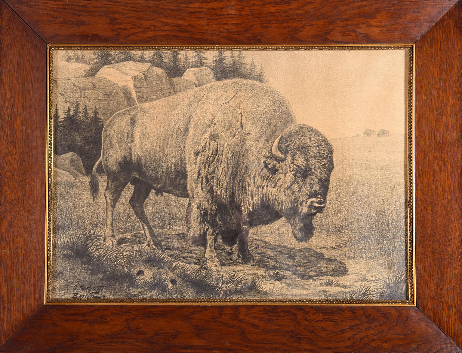 Bison in a landscape - 20th century pencil drawing by Oscar Schafft 3