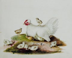 Antique A white hen with her chicks - 19th century watercolour by Augusta Innes Withers